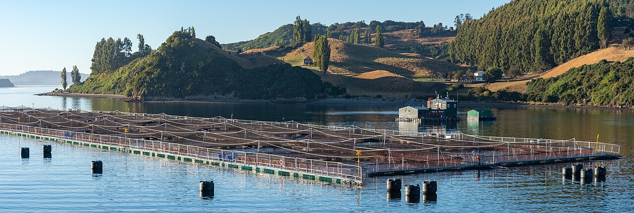 Aquaculture