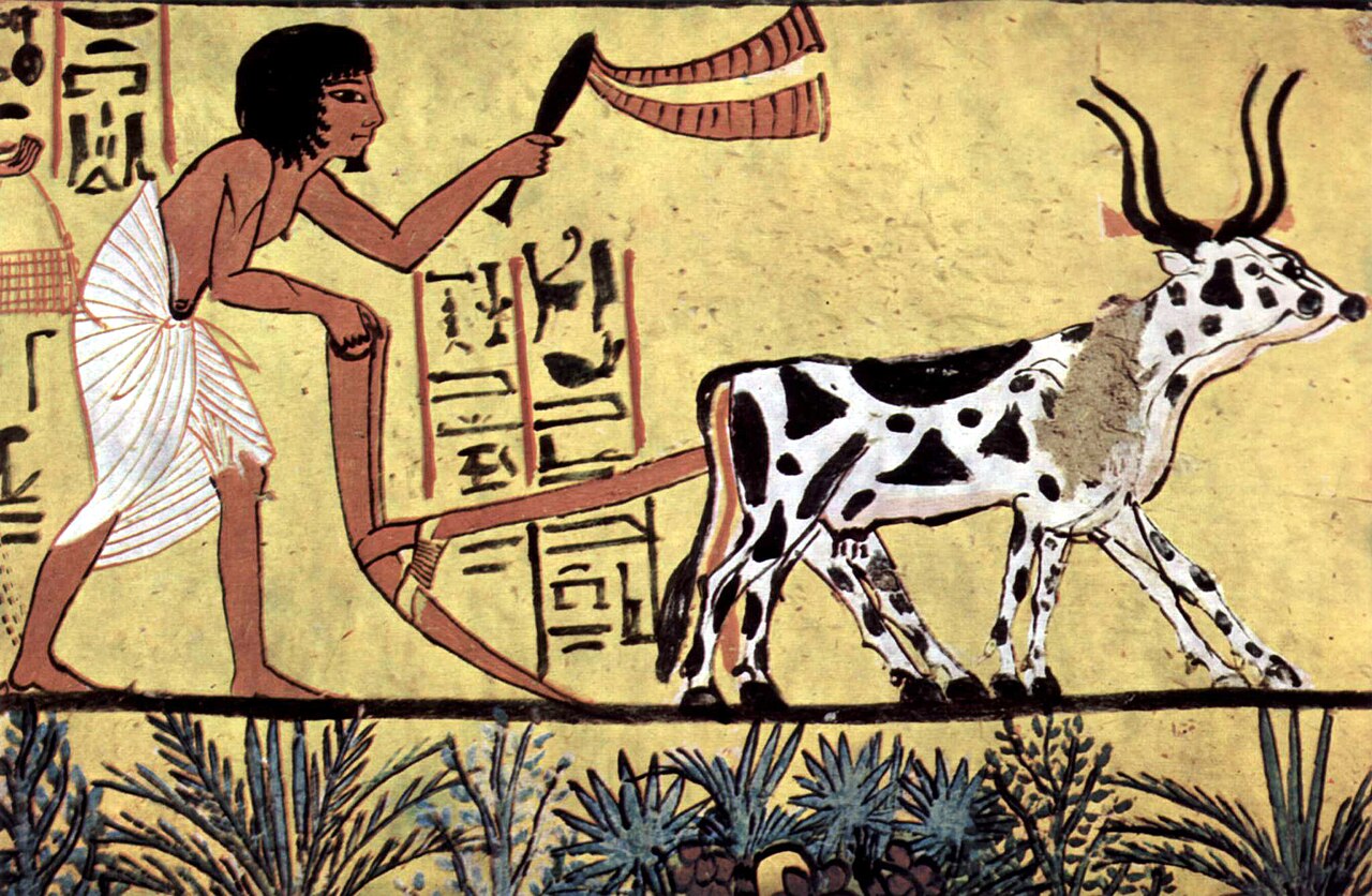 Agriculture in Iran